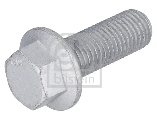 Bolt, brake caliper